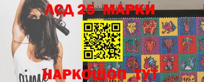 гидропоника Тула