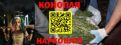 гидропоника Тула
