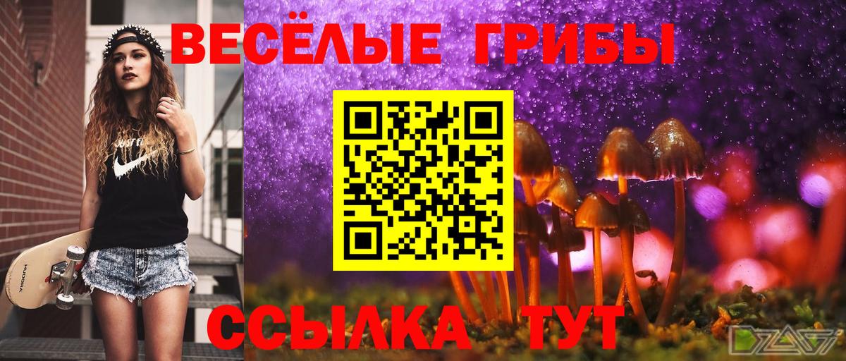 купить наркоту  Галлюциногенные грибы прущие грибы  Вход с VPN  Новотроицк 